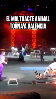 El maltracte animal torna a València amb Català i VOX  Ara, tornen els circs amb animals, que van quedar prohibits pel govern de Compromís en 2015.  Seguirem exigint que València siga una ciutat lliure de maltracte animal de qualsevol tipus.  #maltratoanimal #animales #peludos #valencia #animalista #compromís